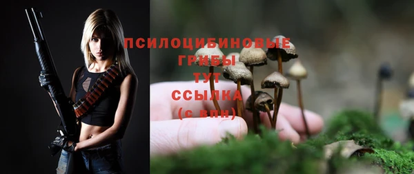 прущая мука Пролетарск