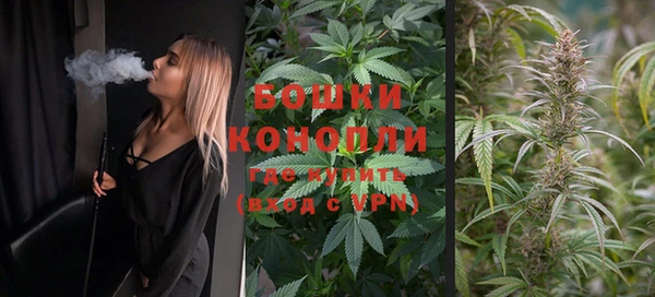 стафф Липки