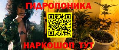 ПСИЛОЦИБИНОВЫЕ ГРИБЫ Кинель