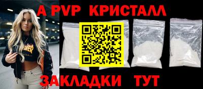 apvp Кингисепп