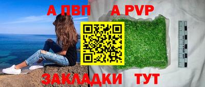 apvp Кингисепп