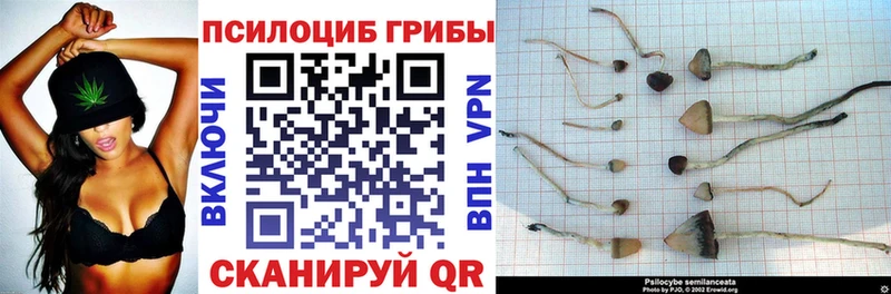 купить наркотики сайты  Усинск  mega tor  Псилоцибиновые грибы Psilocybe 