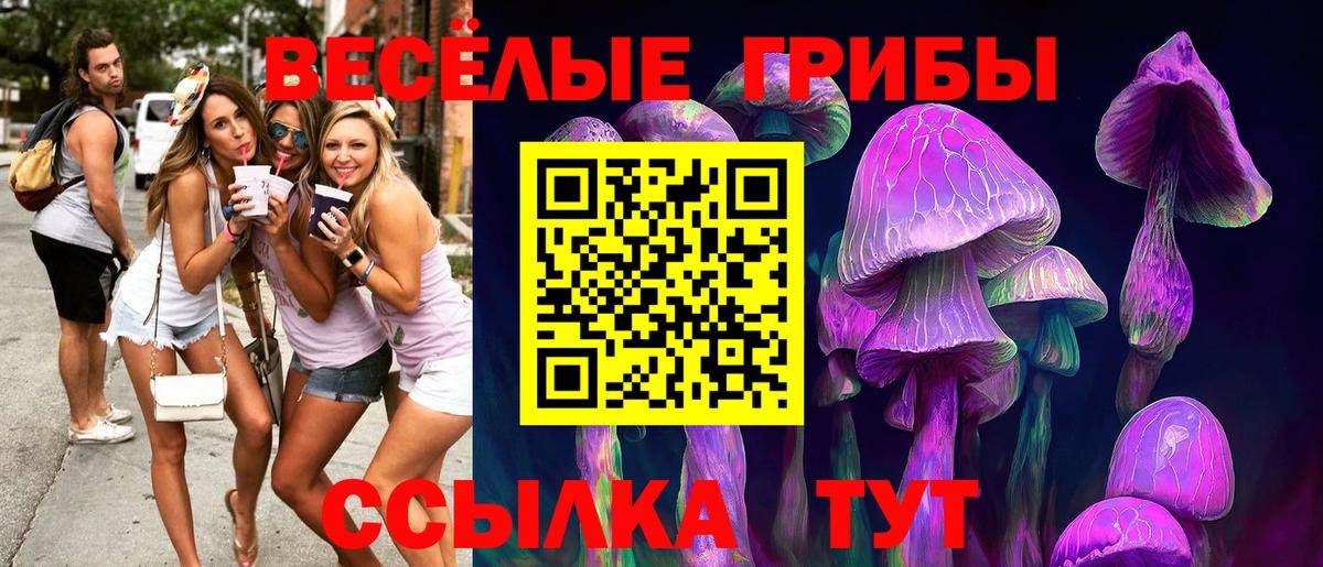 Галлюциногенные грибы Cubensis  Вход с VPN  Усинск  Псилоцибиновые грибы мухоморы 